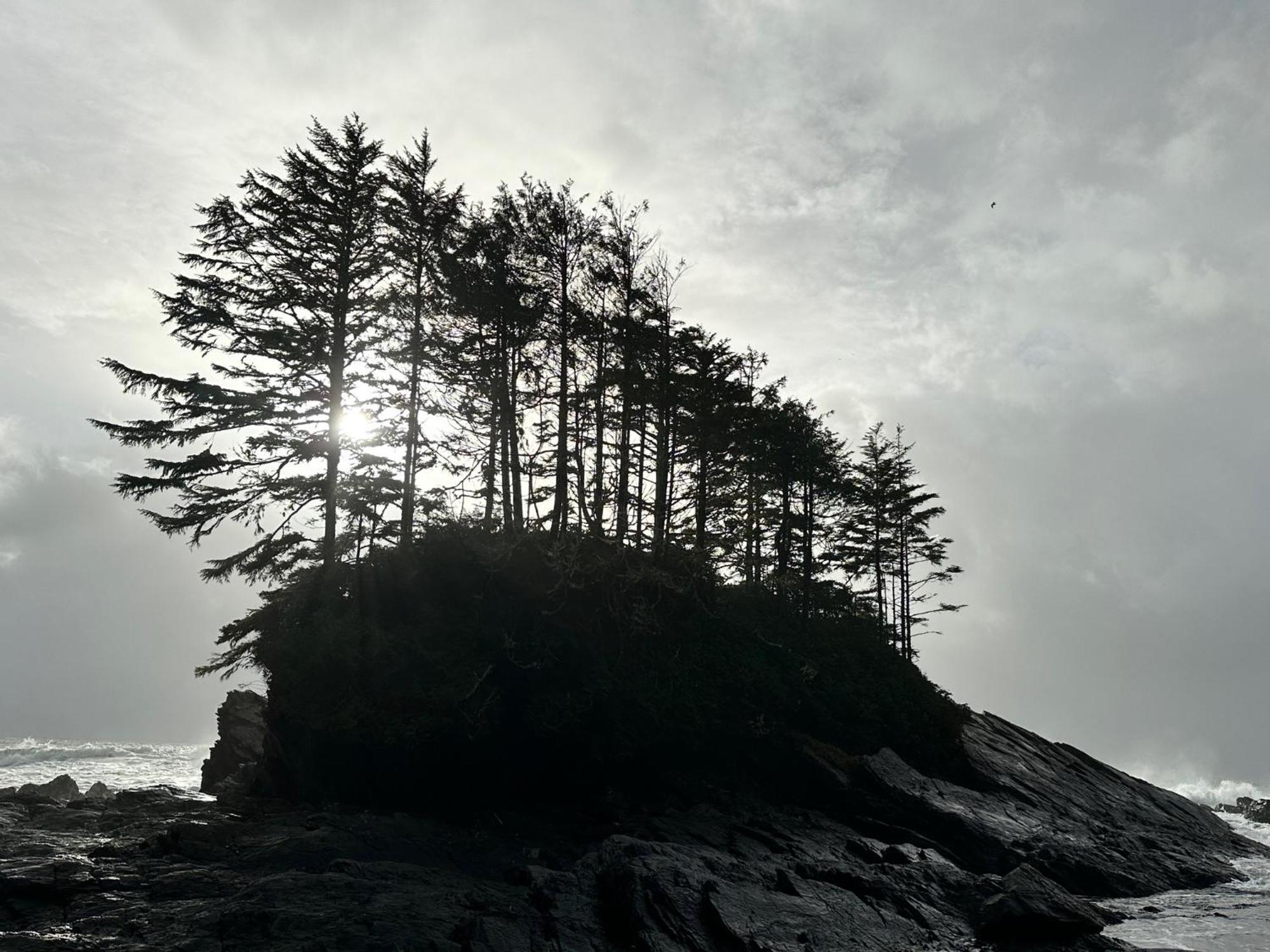 Bjorn Holm Villa Port Renfrew Exterior photo